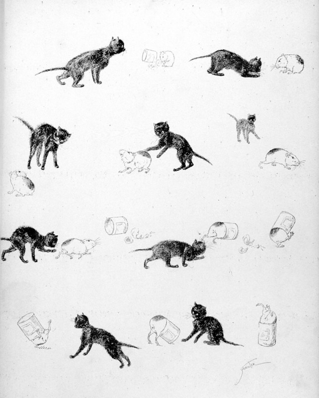 Chats, histoire navrante d'un chat et d'un petit cochon d'inde par Steinlen