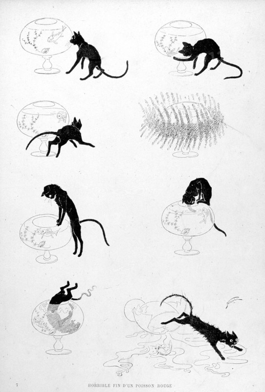 Cats, the Horrible End of a Goldfish by Steinlen