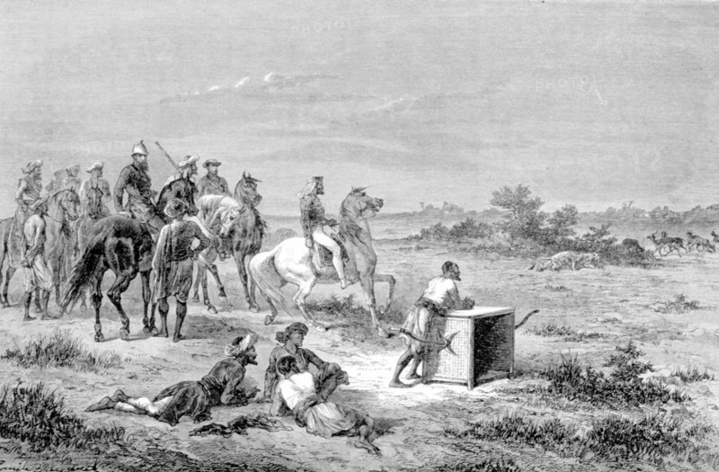 Antilope hunting, in Baroda