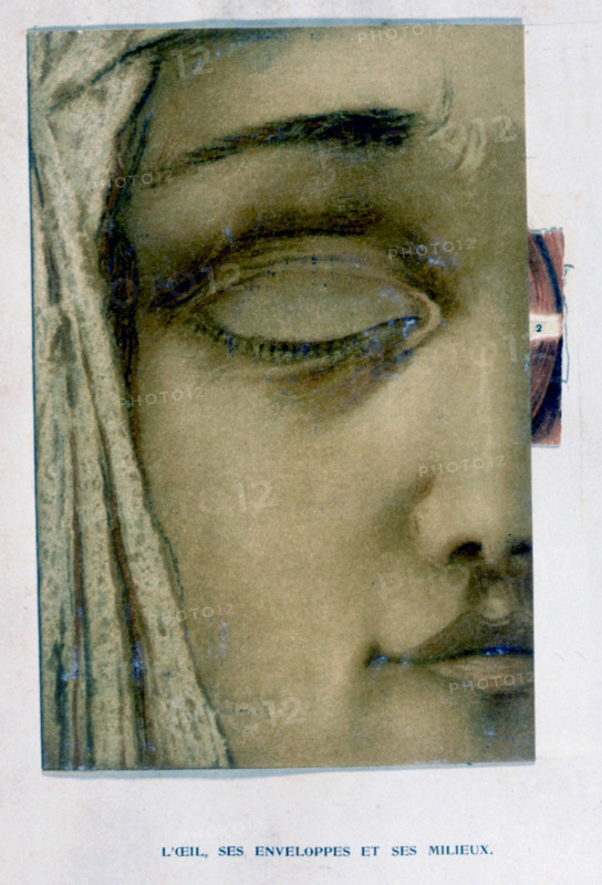 Human body, the eye, representations from the late 19th century