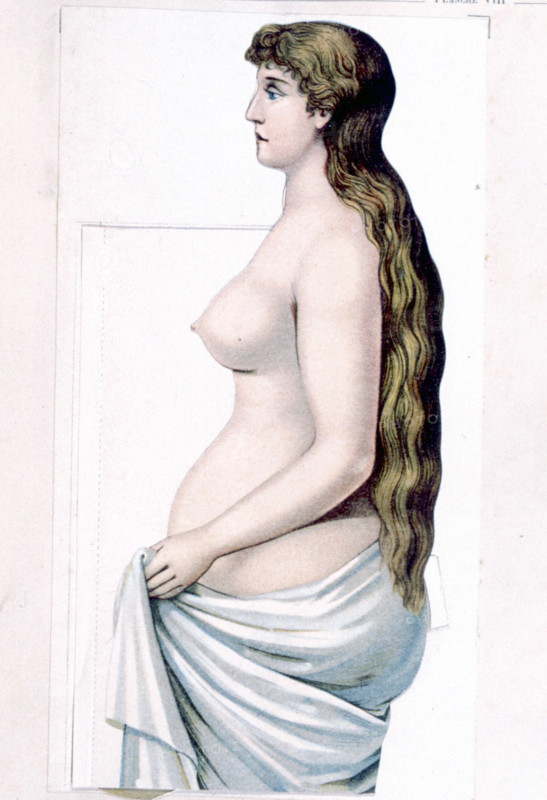Human body, the woman, representation from the late 19th century