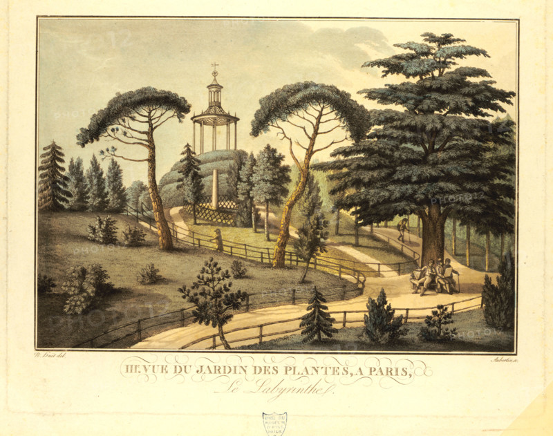 Le labyrinthe du jardin des plantes