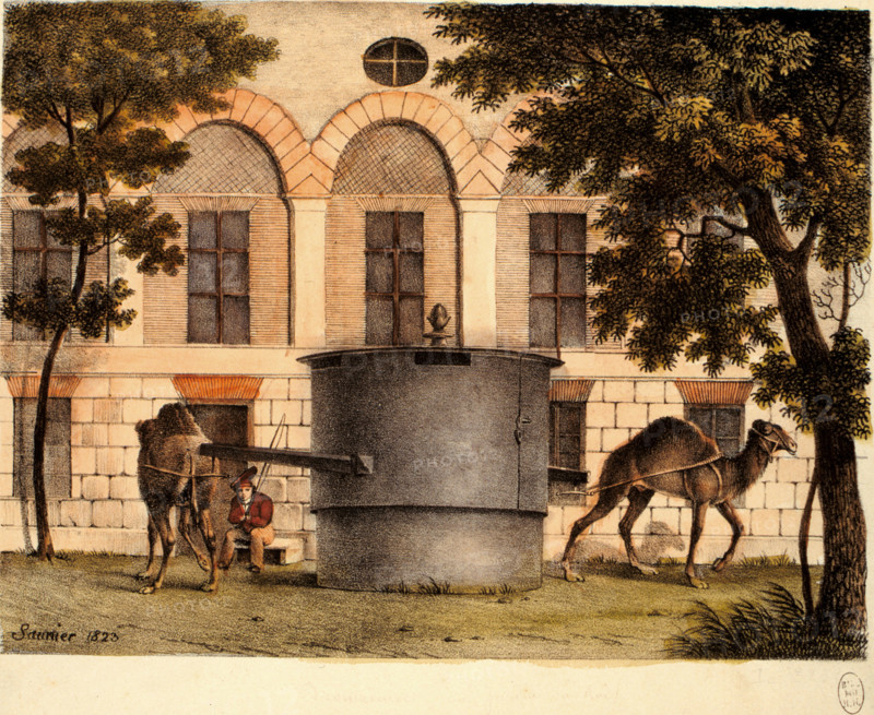Saunier, le jardin des plantes