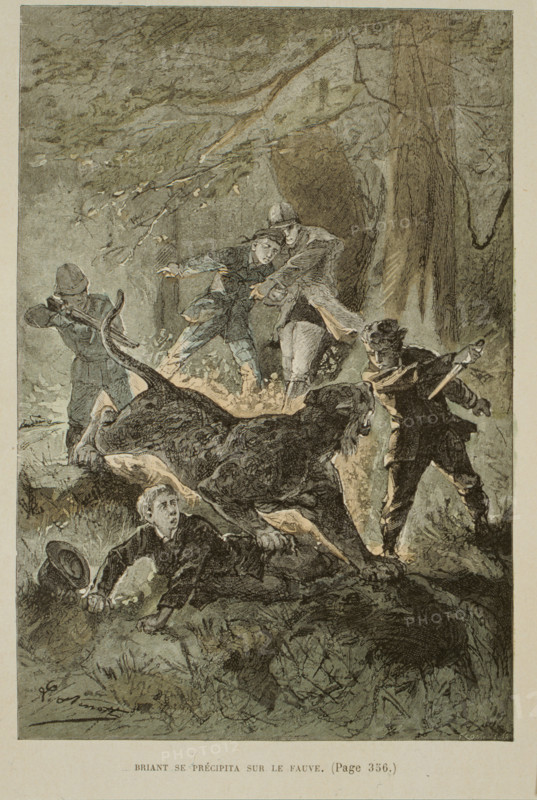 L'école des Robinsons de Jules Verne, illustration de Benett