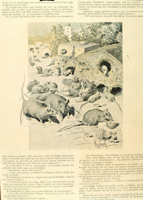 The Adventures of Mr. Rat and his Family, short story by  Jules Verne, illustration by Myrbach