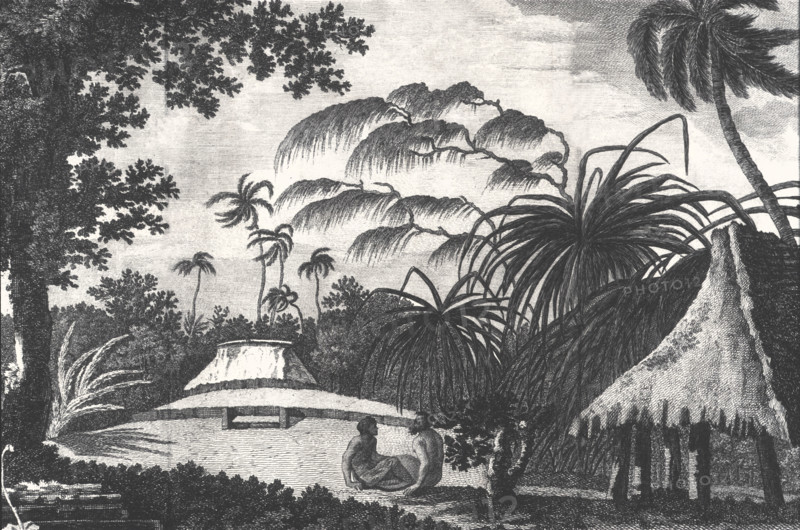 Journey of James COOK, engraving by William Hodges