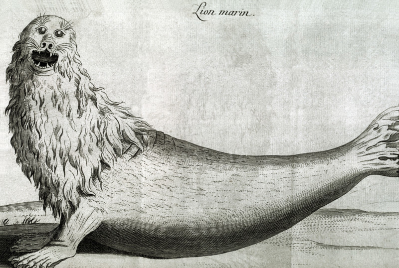 Sea Lion, in Journey to the Isle of France (Mauritius) and Bourbon island (Ile de la Réunion)