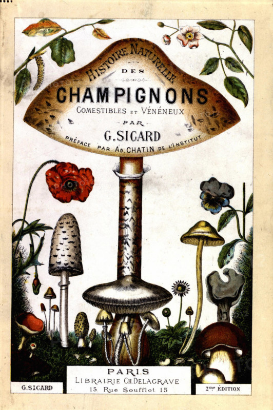 National history of edible and poisonous mushrooms