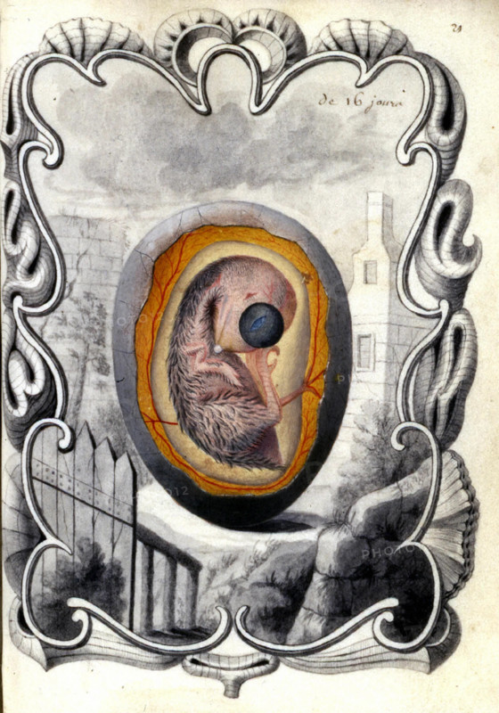 Charles-Alexandre LORRAINE, Incubator