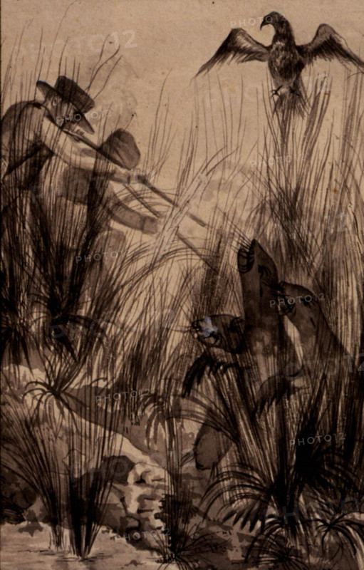 Voyage of  Louis Isidore Duperrey with Dumont d'Urville, hunting scene