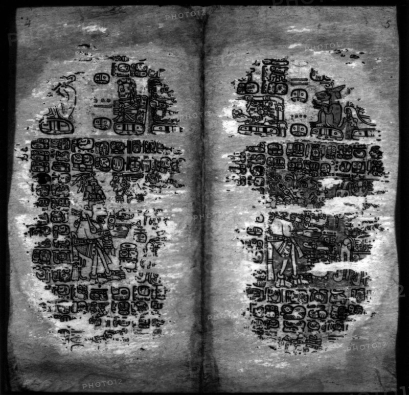 Manuscrit maya sur papier d'agave, écriture hiératique