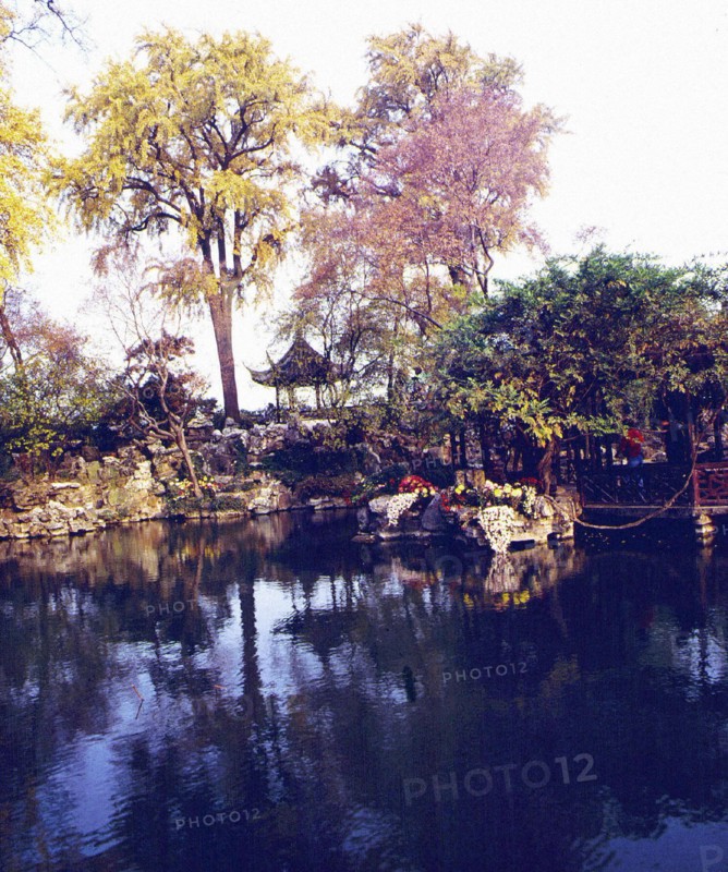 Jardin de Suzhou, province de Jiangsu, Chine