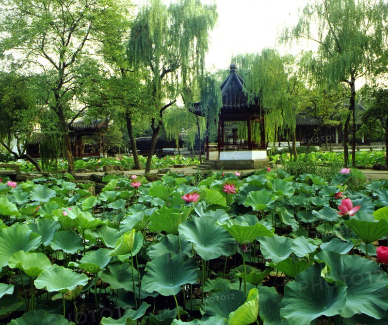 Jardin de Suzhou, province de Jiangsu, Chine