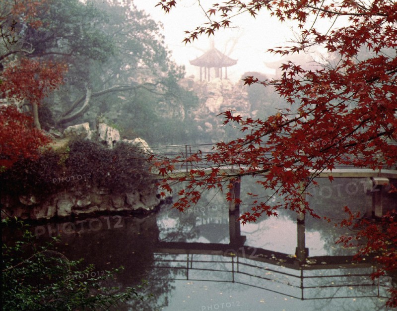 Jardin de Suzhou, province de Jiangsu, Chine