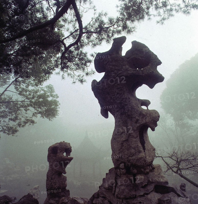 Jardin de Suzhou, province de Jiangsu, Chine