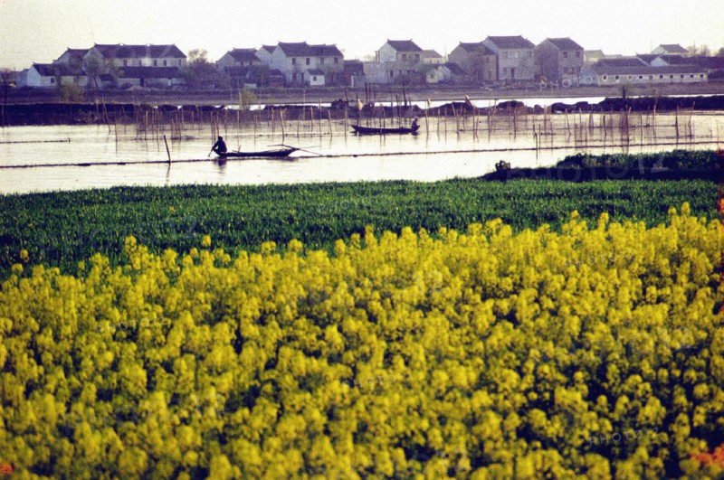 Lake Taihu