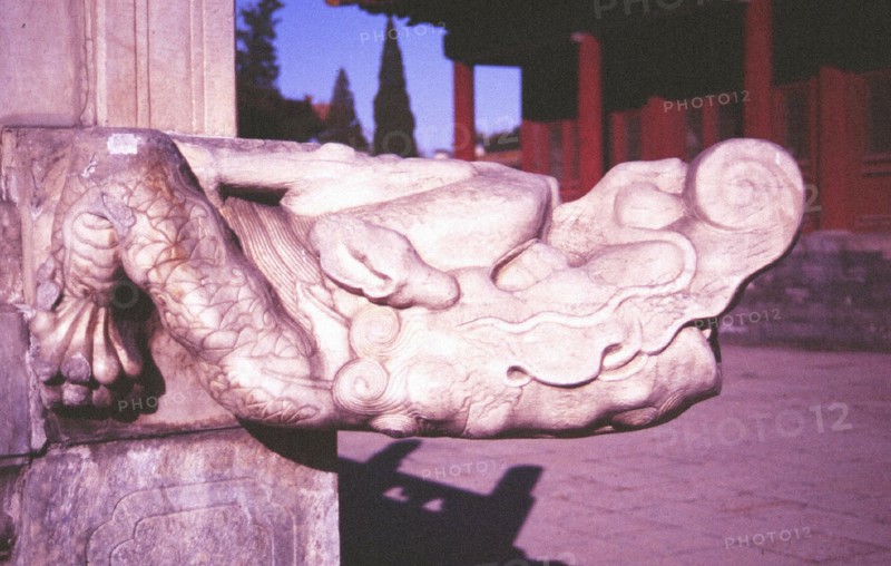Stone Dragon in Ancestral Temple
