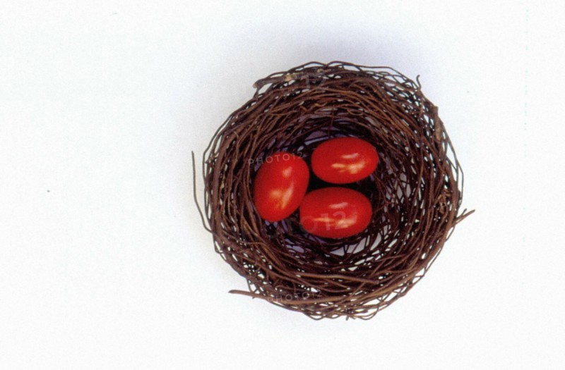 eggs