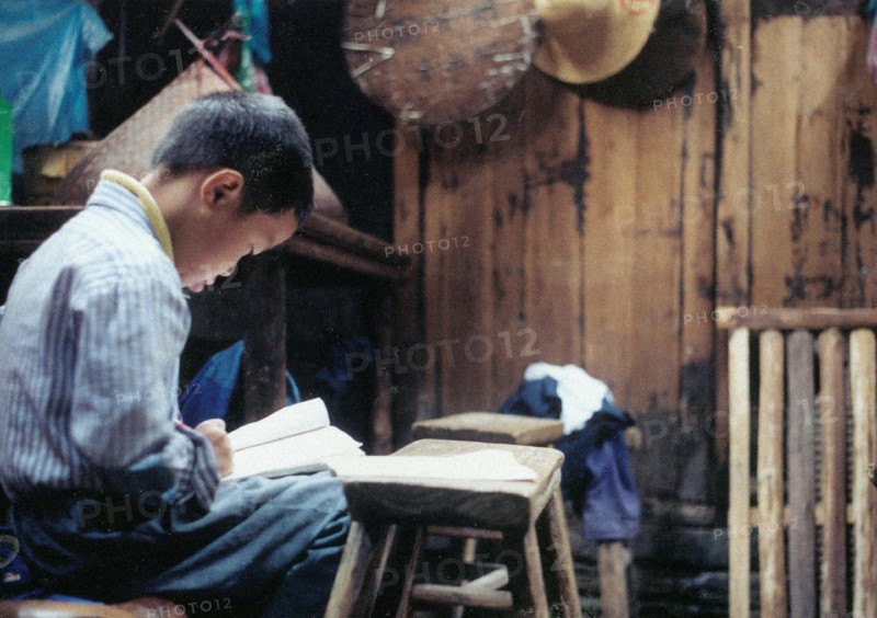 A boy reading book, Jiangshan