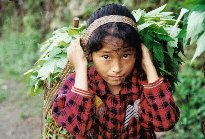 Child carrying grass on his back, Muotuo