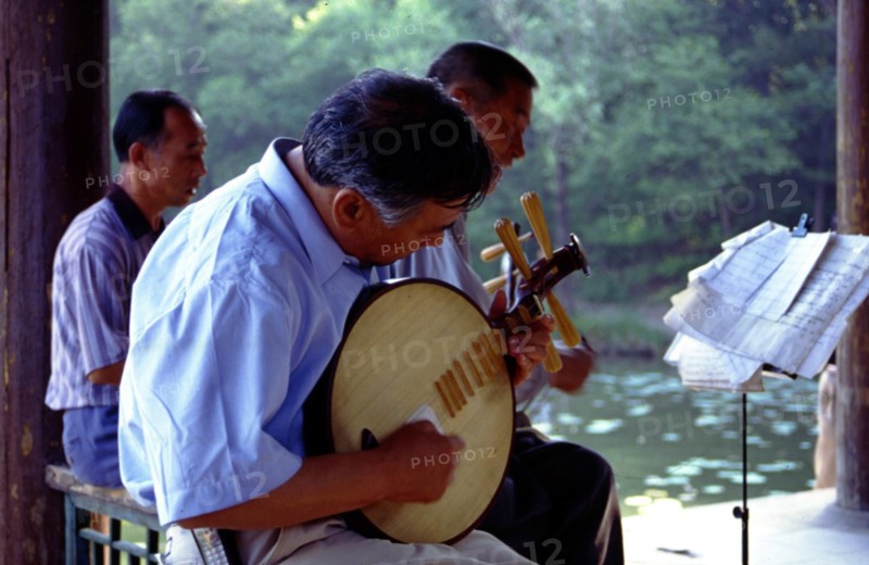 Joueur d'instrument à cordes