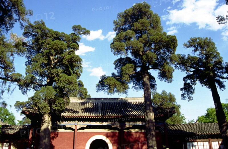 Parc des Collines Parfumées, Temple des Nuages d'Azur