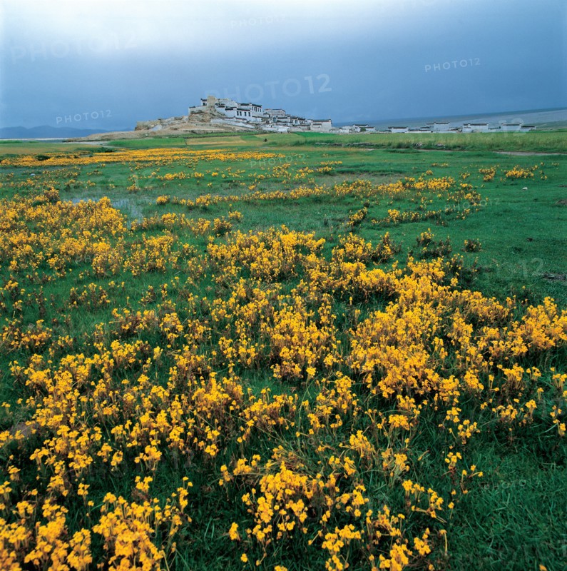 Highland of Tibet, China