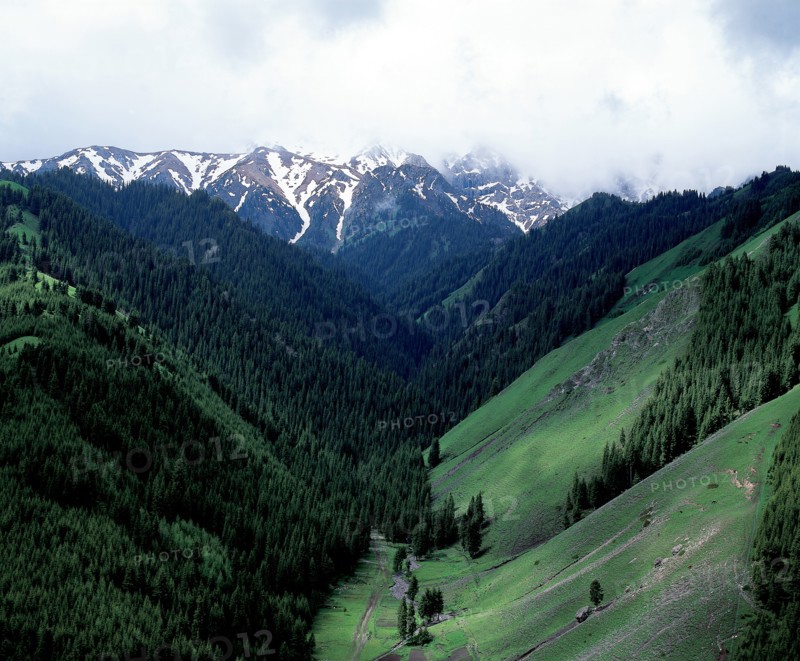 La montagne verte, Chine