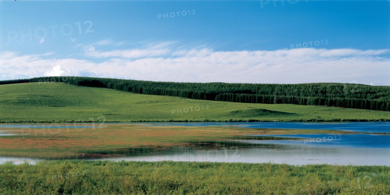 Prairies, Chine