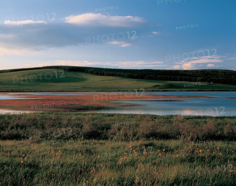 Paysage de prairie, Chine