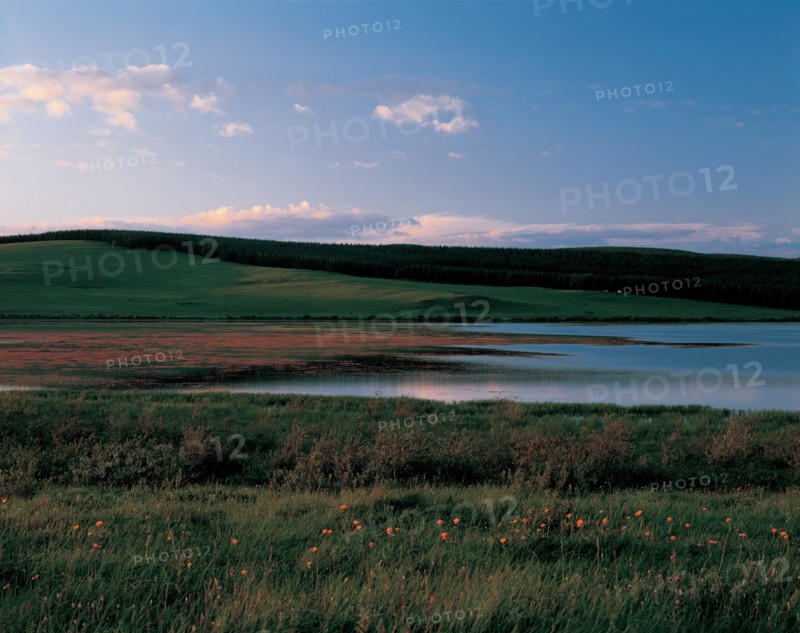 Paysage de prairie, Chine