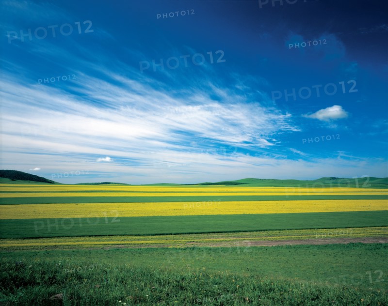 Paysage de prairie, Chine