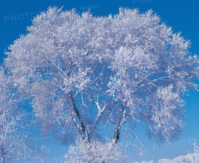 Snowy Landscape, China