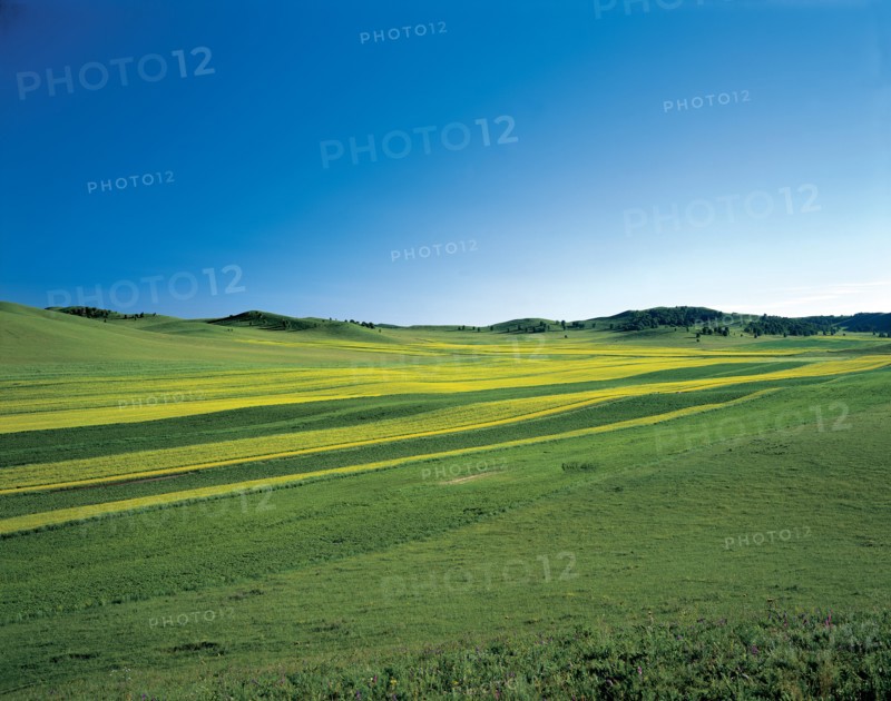 Prairie, province du Hebei, Chine