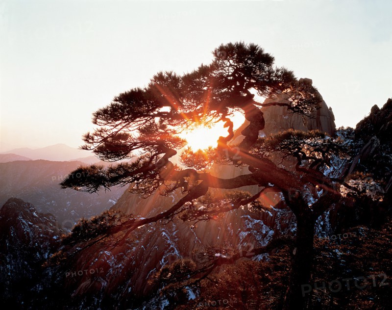Mont Huang, Chine