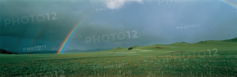 Grassland in Hebei Province, China