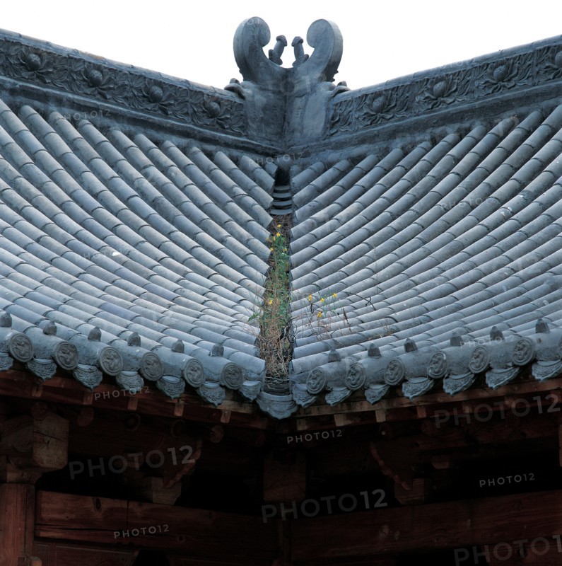 Toit de maison, province du Henan, Chine