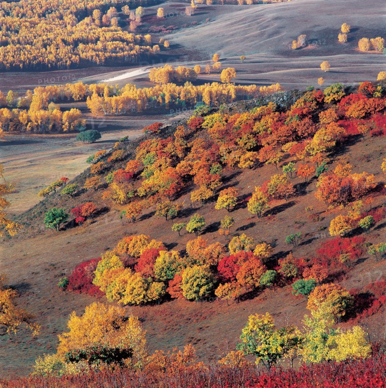 Bashang, province du Hebei, Chine
