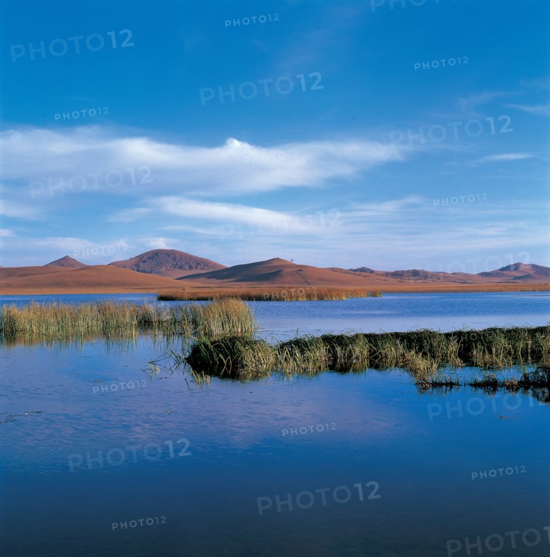 Marais, province du Hebei, Chine