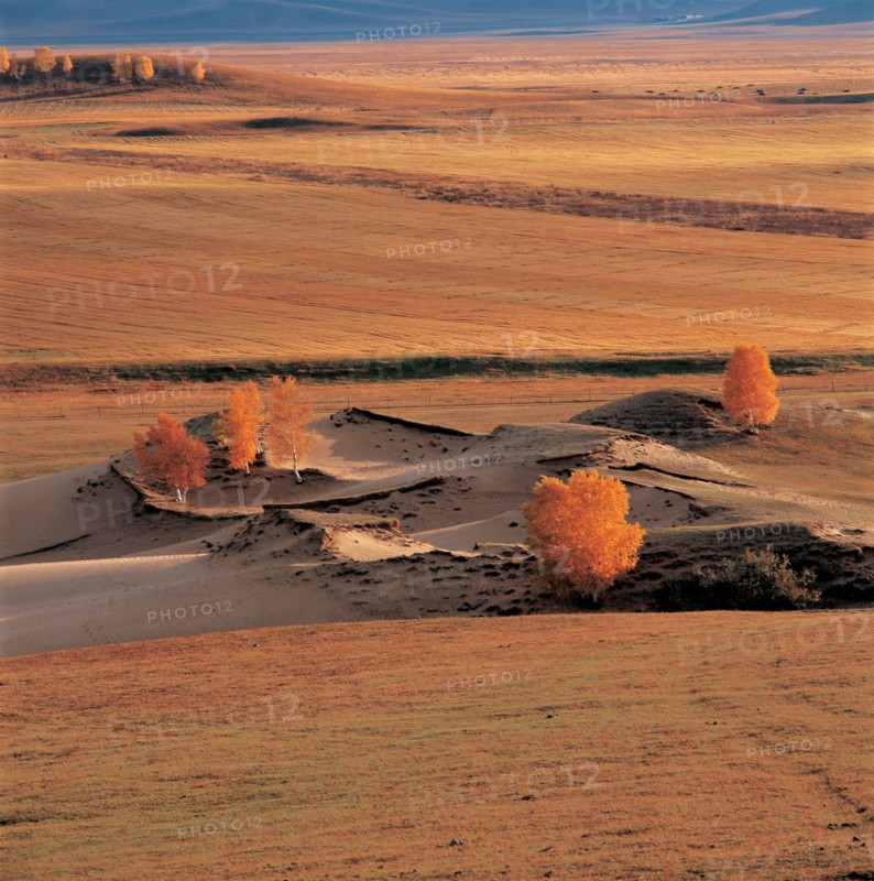 Grassland, Hebei Province, China