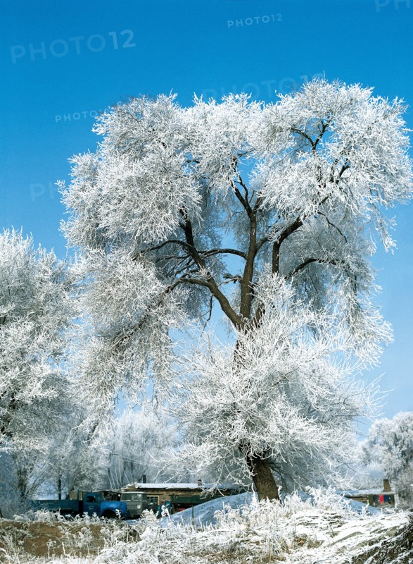 Province Jilin, Chine