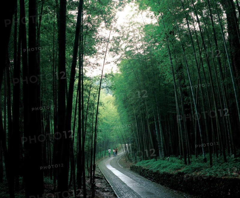 Hangzhou, comté du Yunxi, Chine
