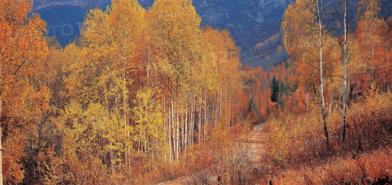 Hemuxiang Countryside, Sinkiang Province, China
