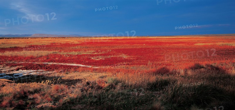 Grassland, Buerjin County, Sinkiang Province, China