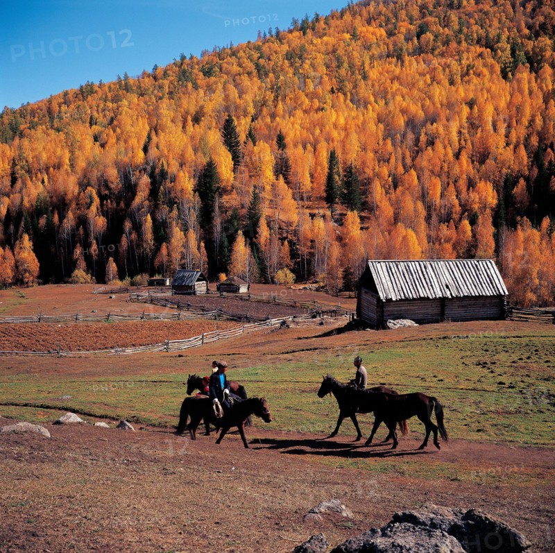 Tribu Tuwa, Comté Burqin, province du Xinjiang, Chine