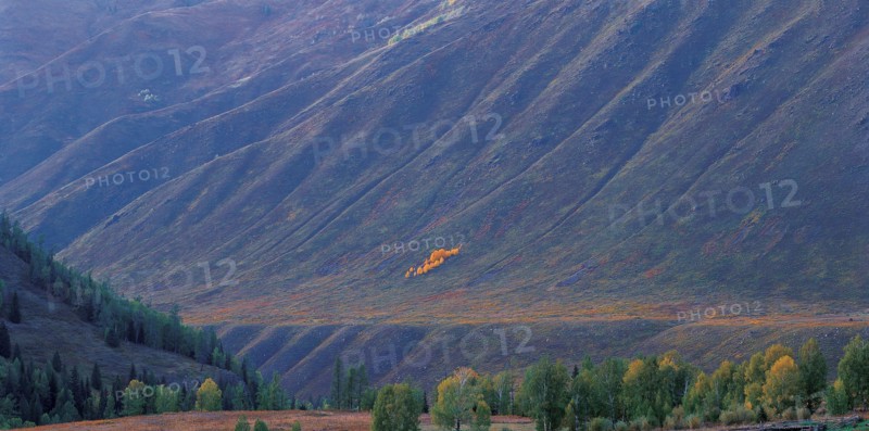 Mont Altay, province du Xinjiang, Chine