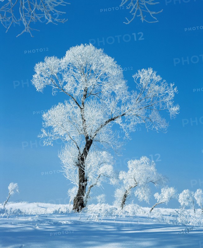 Paysage enneigé, nord-est de la Chine