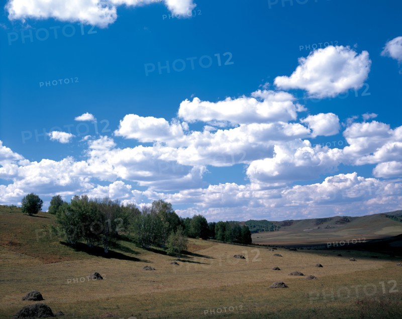 Prairie Bashang, Mongolie Intérieure, Chine