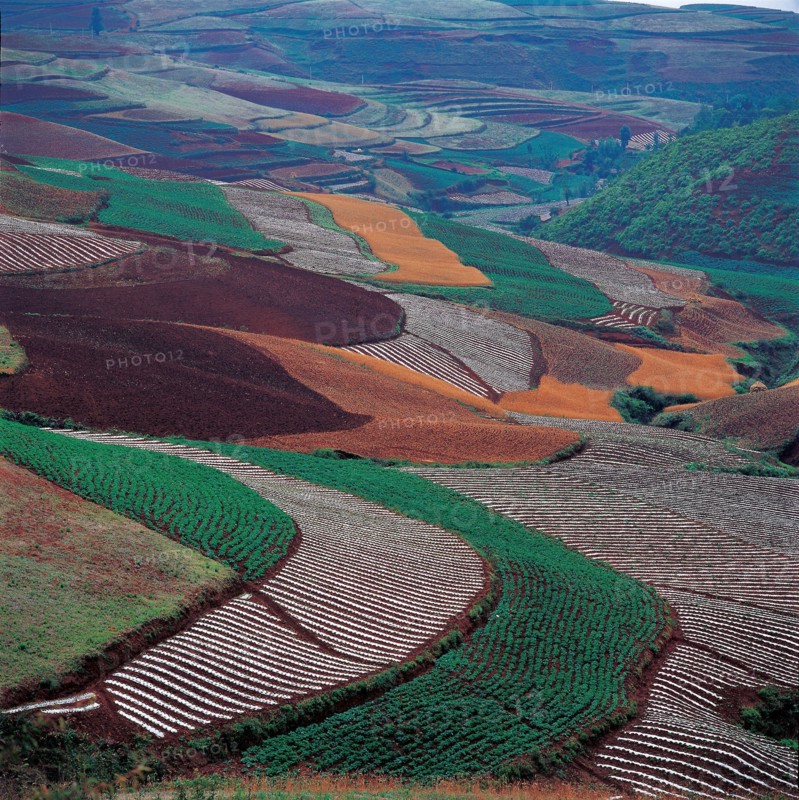 Terre rouge à Dongchaun, province du Yunnan, Chine