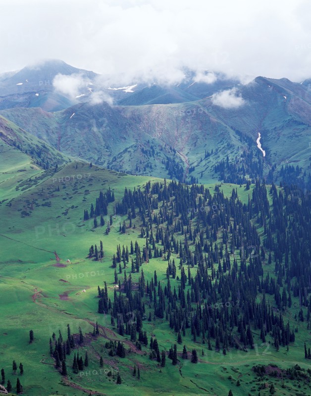 Nature, province du Xinjiang, Chine